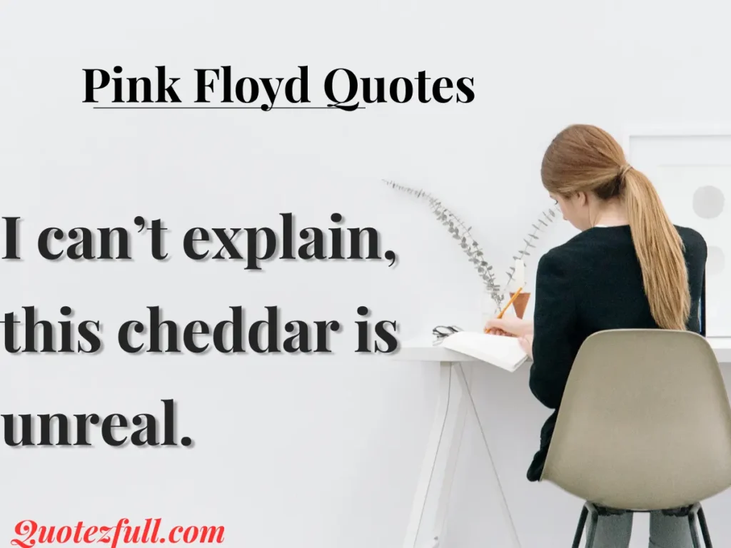 Comfortably Numb Cheese Puns