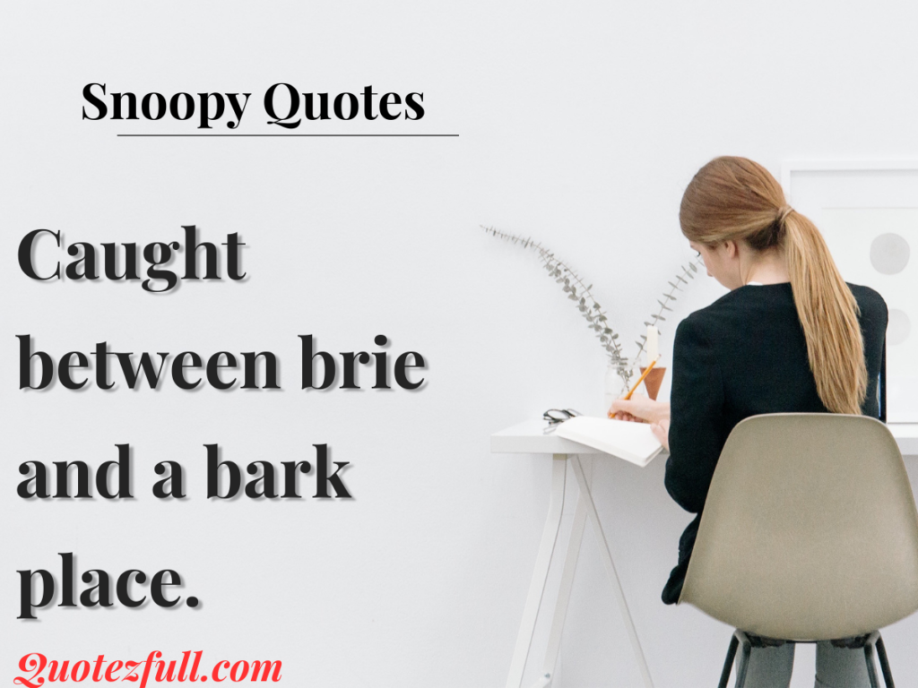 Snoopy Quotes for Instagram Captions