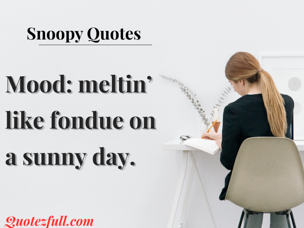 Snoopy Would Totally Approve